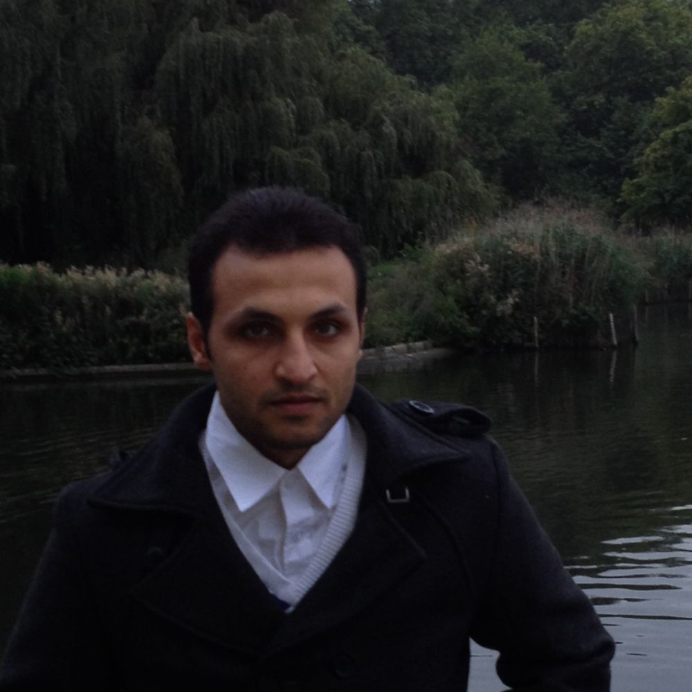 Hisham M. Ali