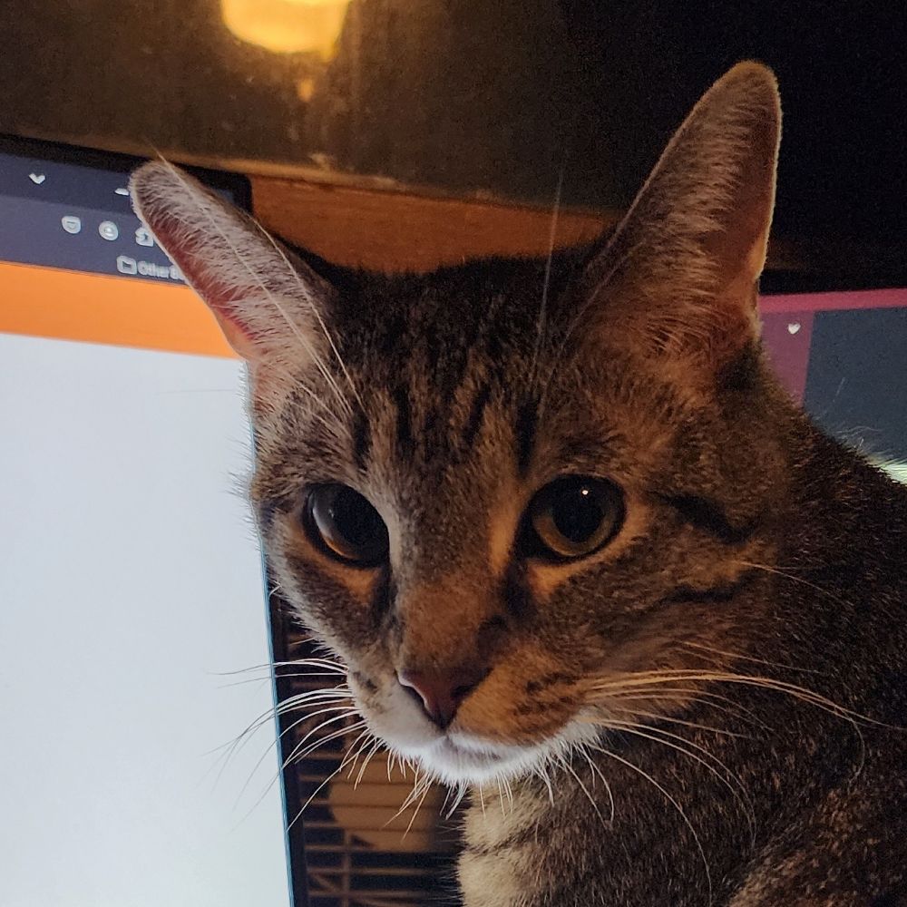 Phoebee