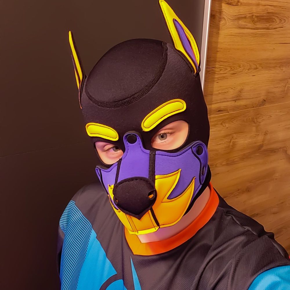 🐾 GearPup_Chester 🐾