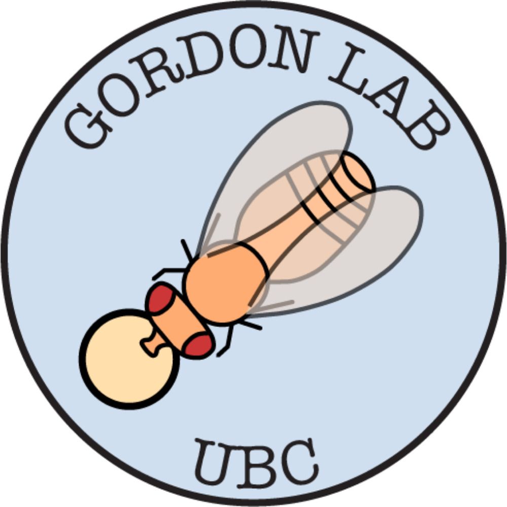 Mike Gordon