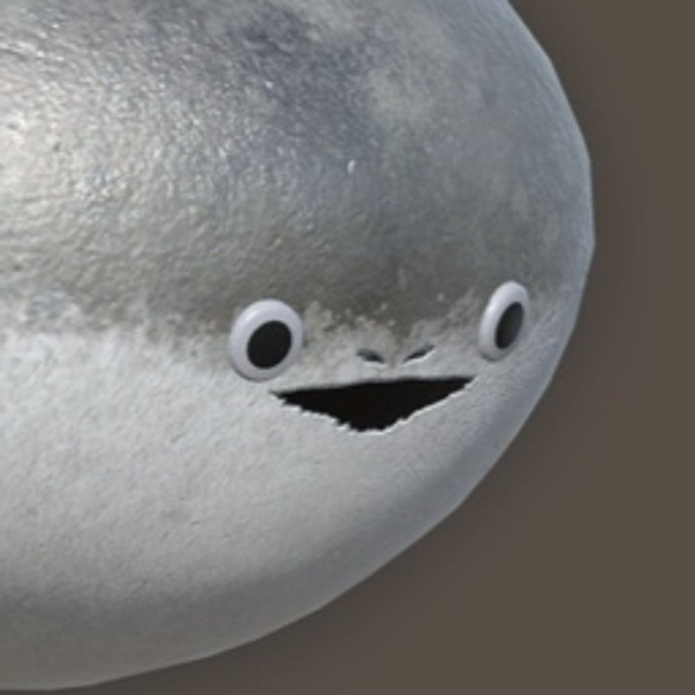 fake moonti