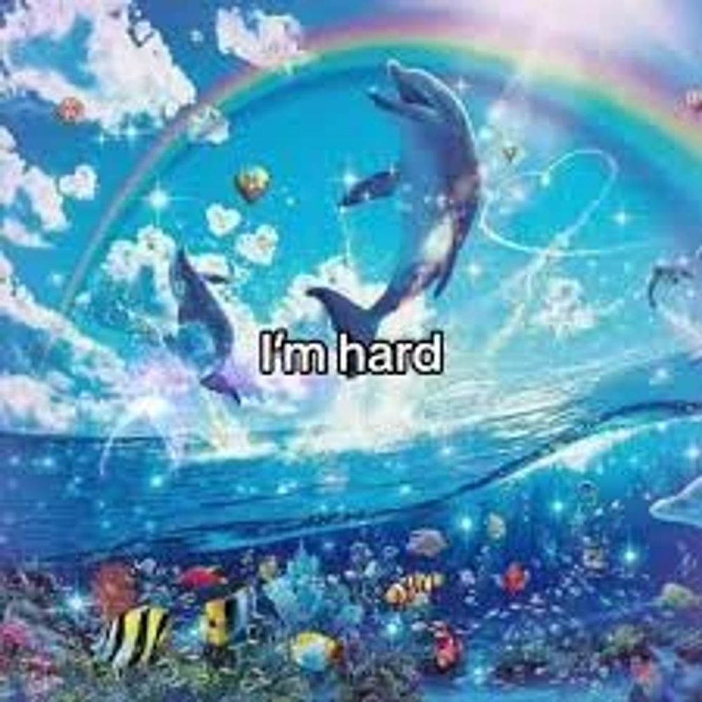 JimDolphin