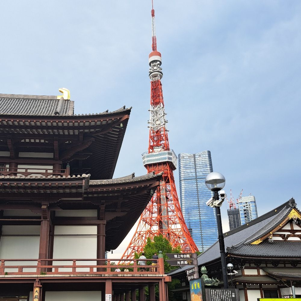 ます