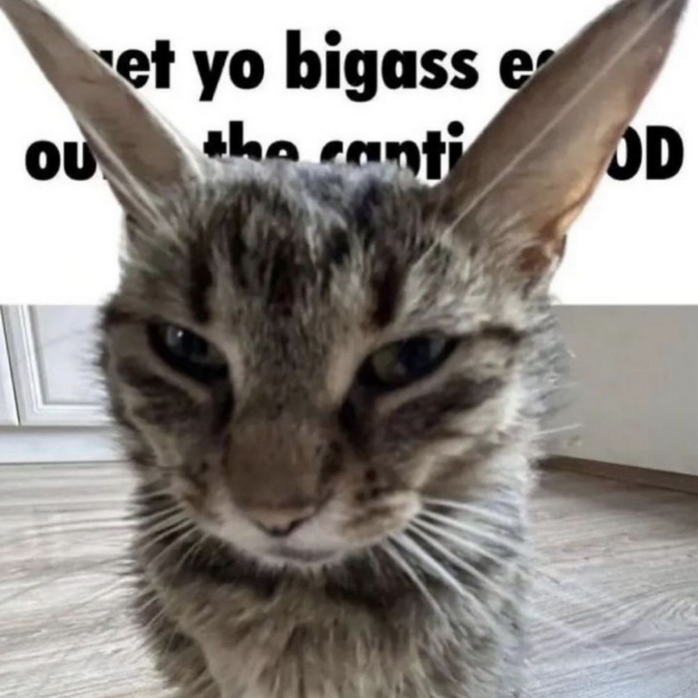 abdrofur