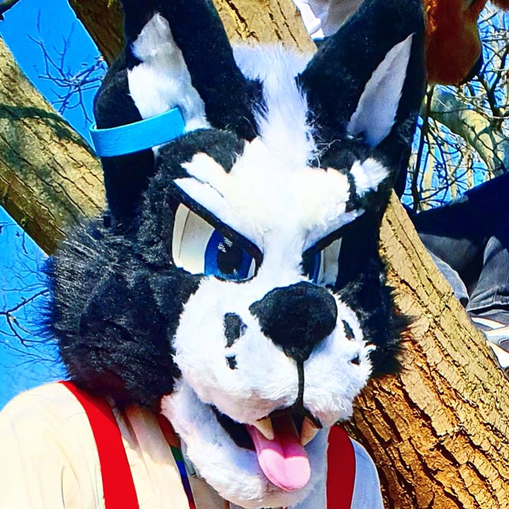 T.K. the Wusky