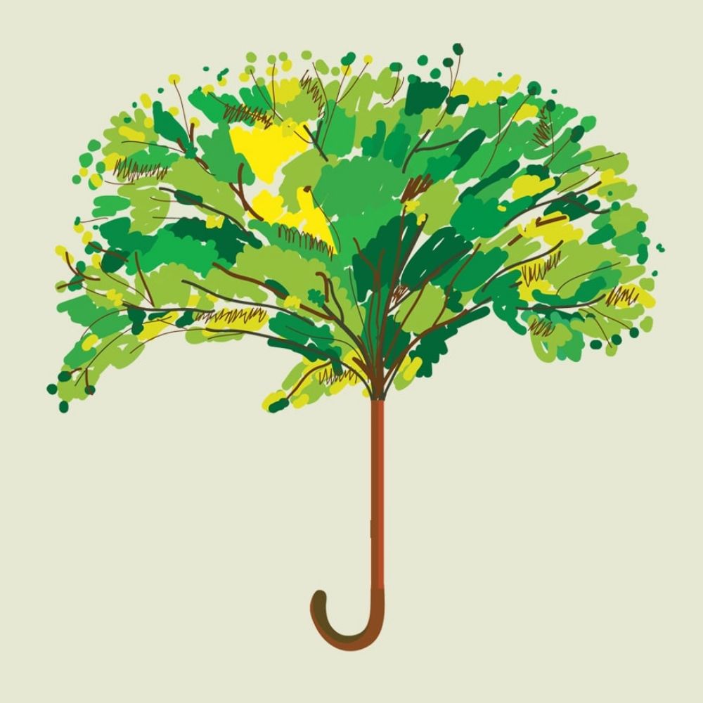 Canopy