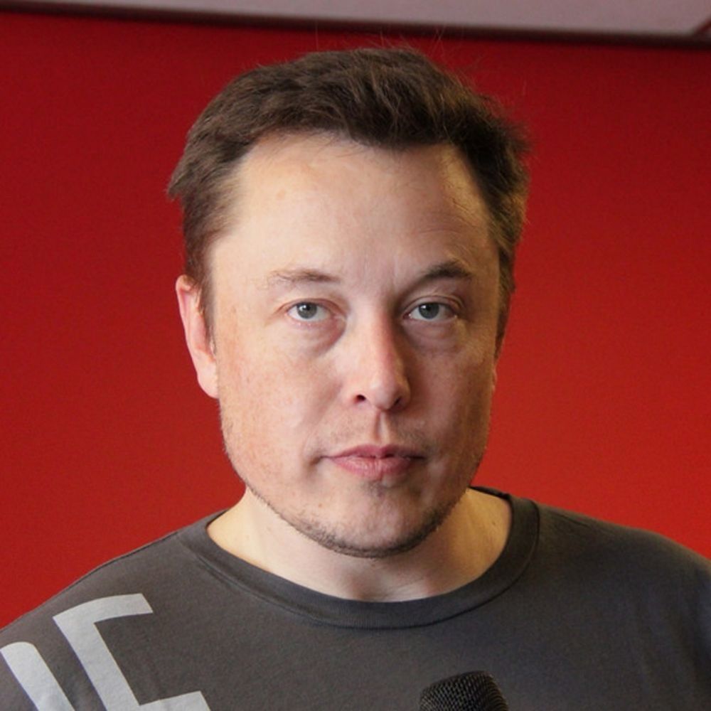 Profile picture elonmuskreaise.bsky.social