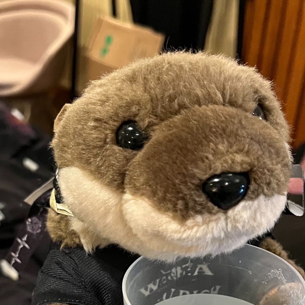 Travelling Otter (Der Flotte Otter)