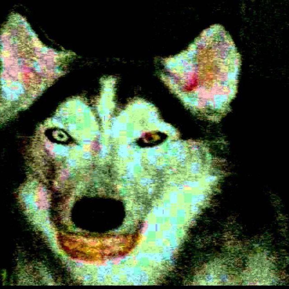 Strangeflesh 