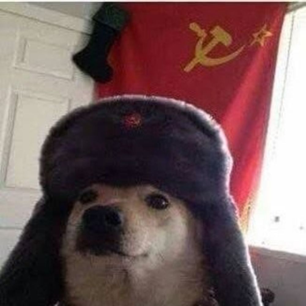 bibi 