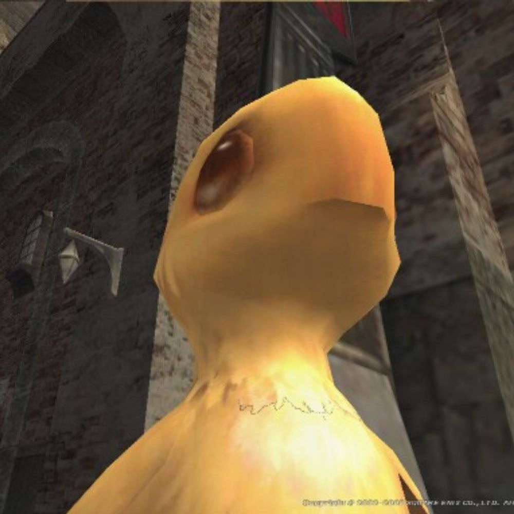 FF11_degus