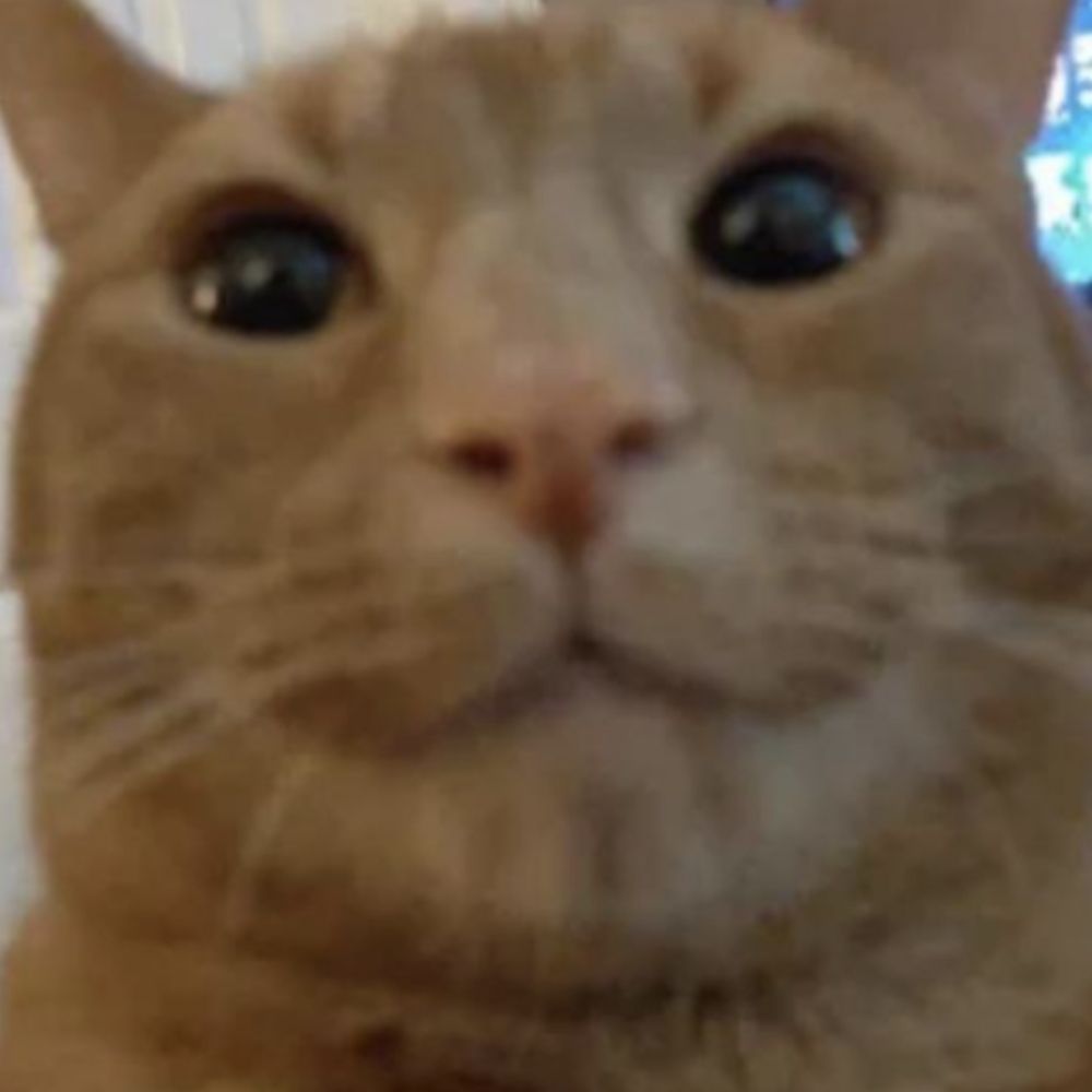 🐿️