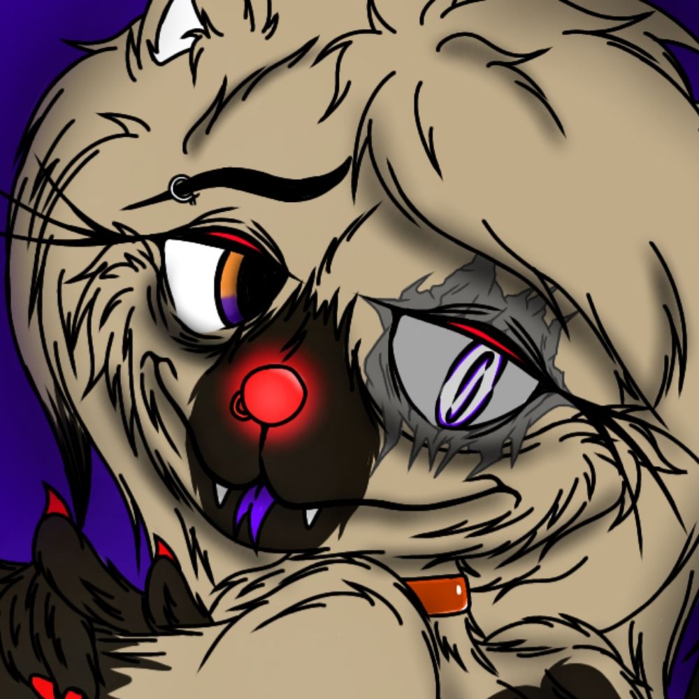 ~♡Ferball♡~