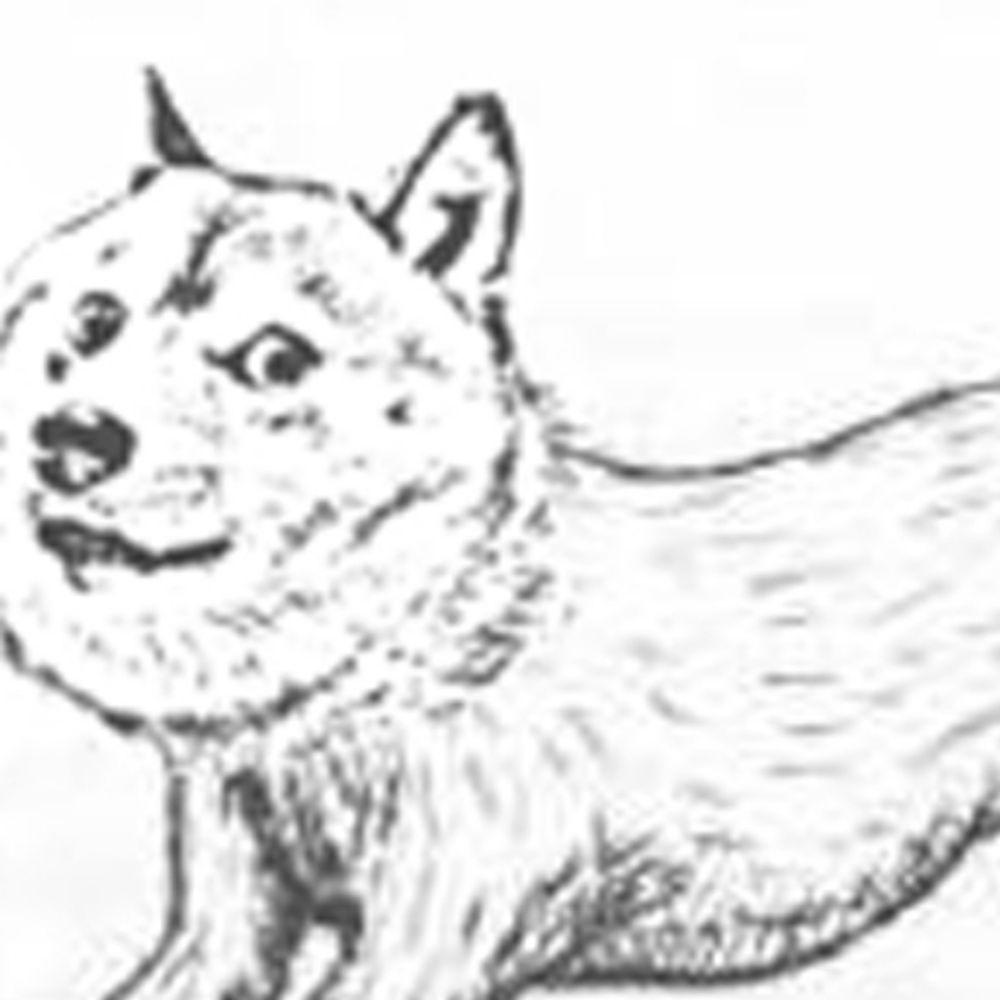 Blinkdoge