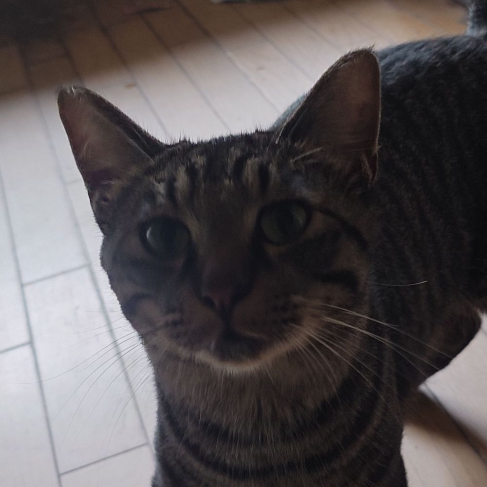 おさむん(やはた)