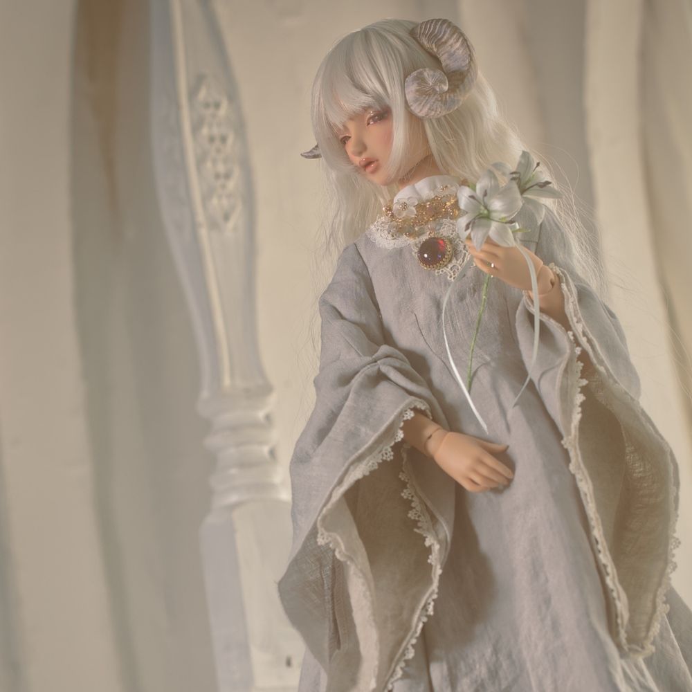 りせちー (doll, travel and other hobby)