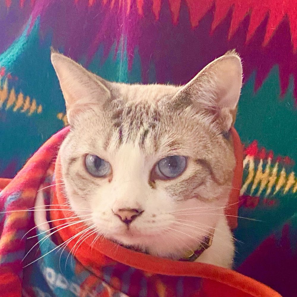 🏜️ツナち🏜️