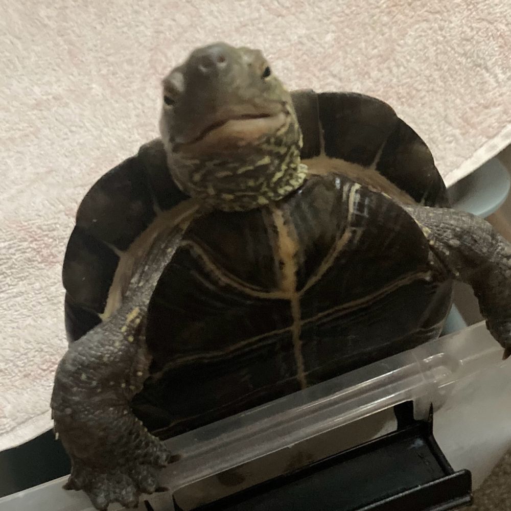 ろろ