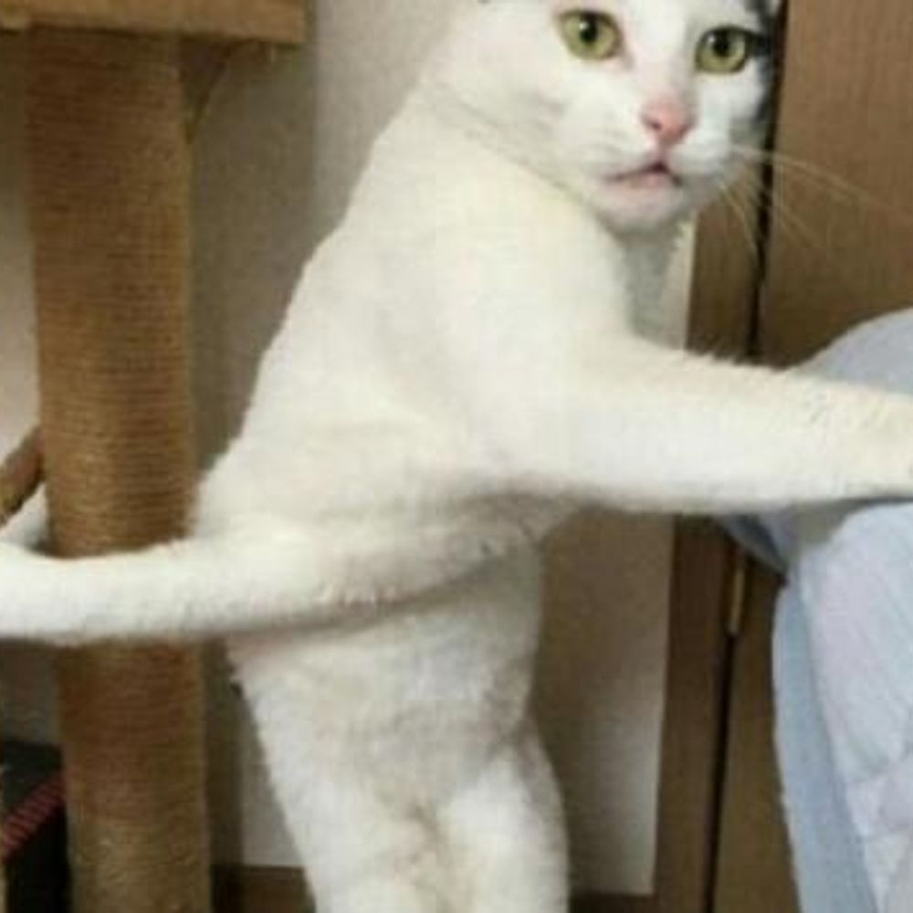 plis tangan gua keplintir