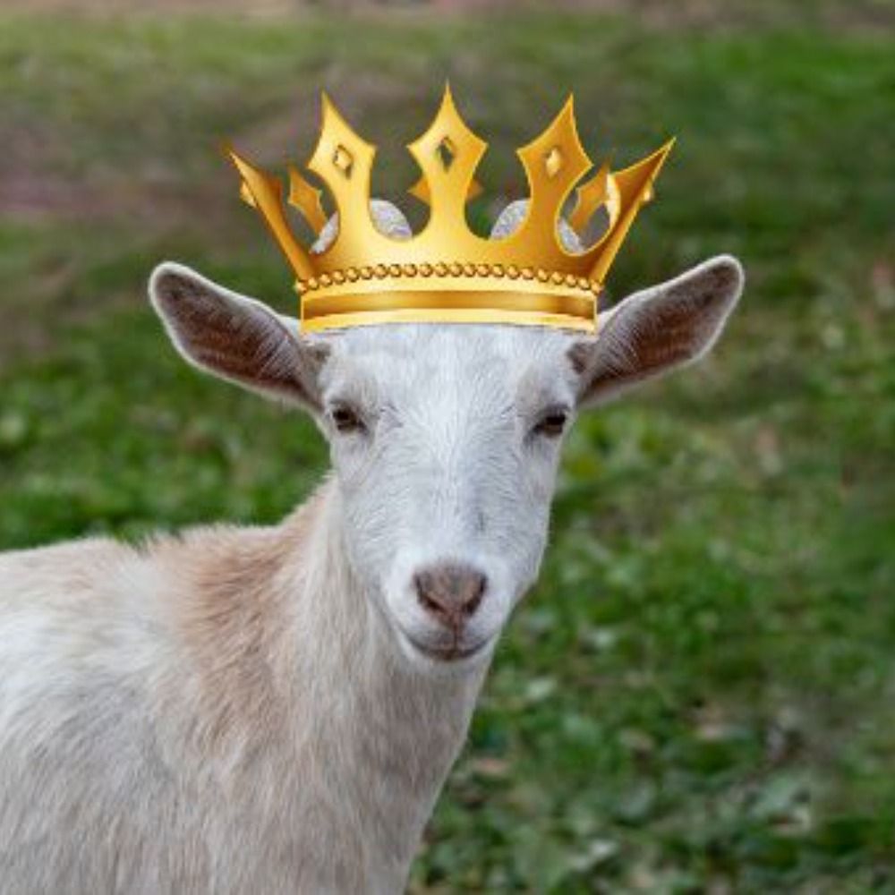 King Goat