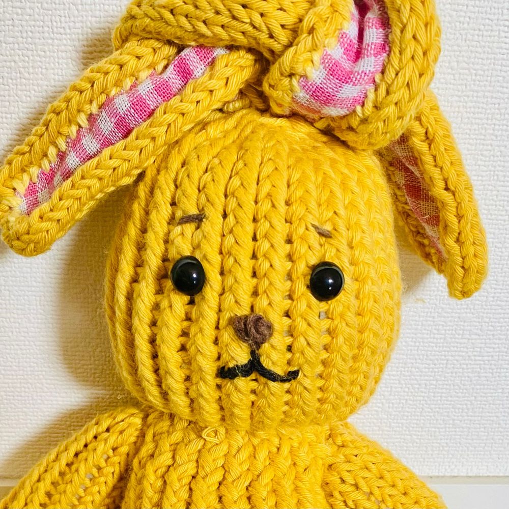 さおち🧶編み物🔰多肉🪴
