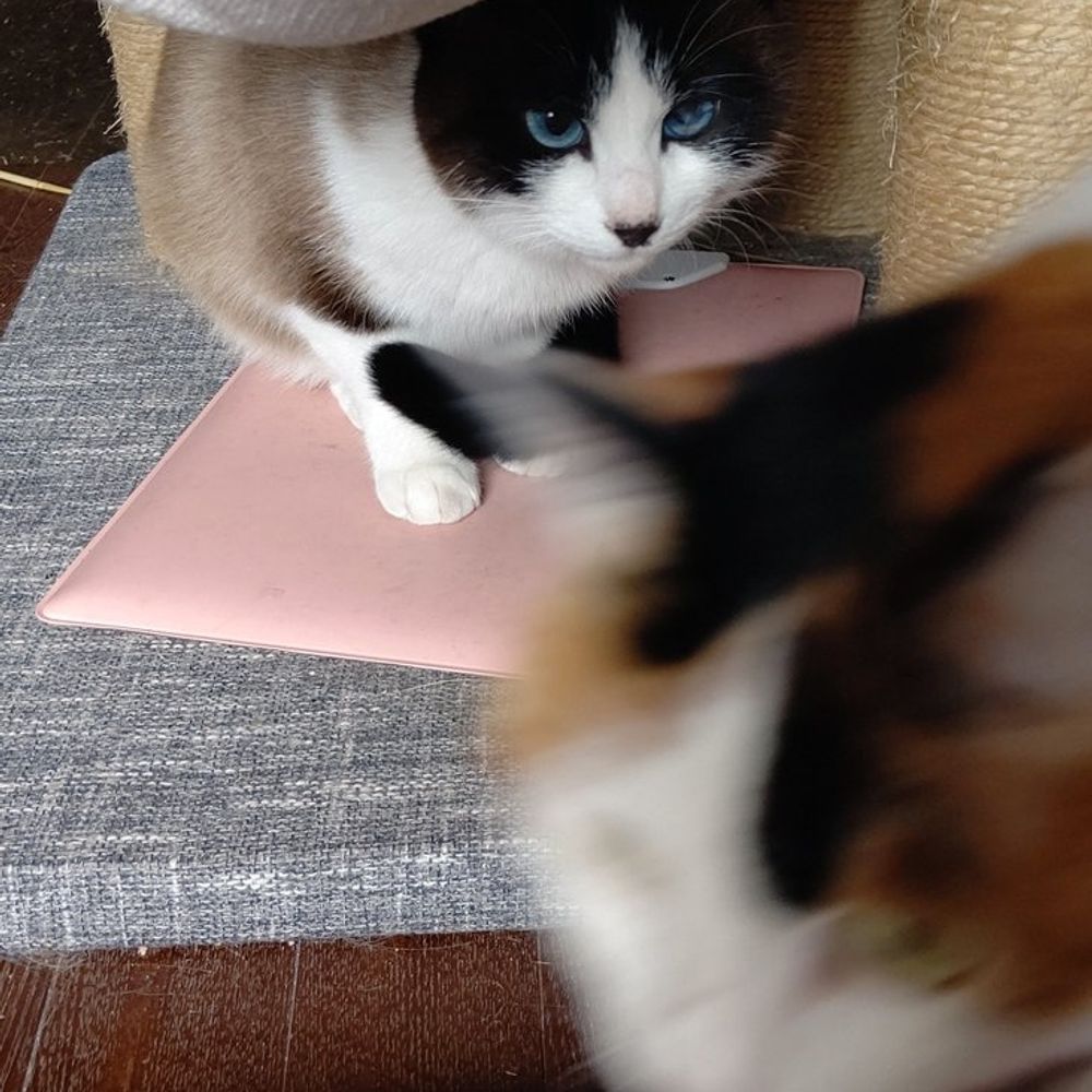 でっていう
