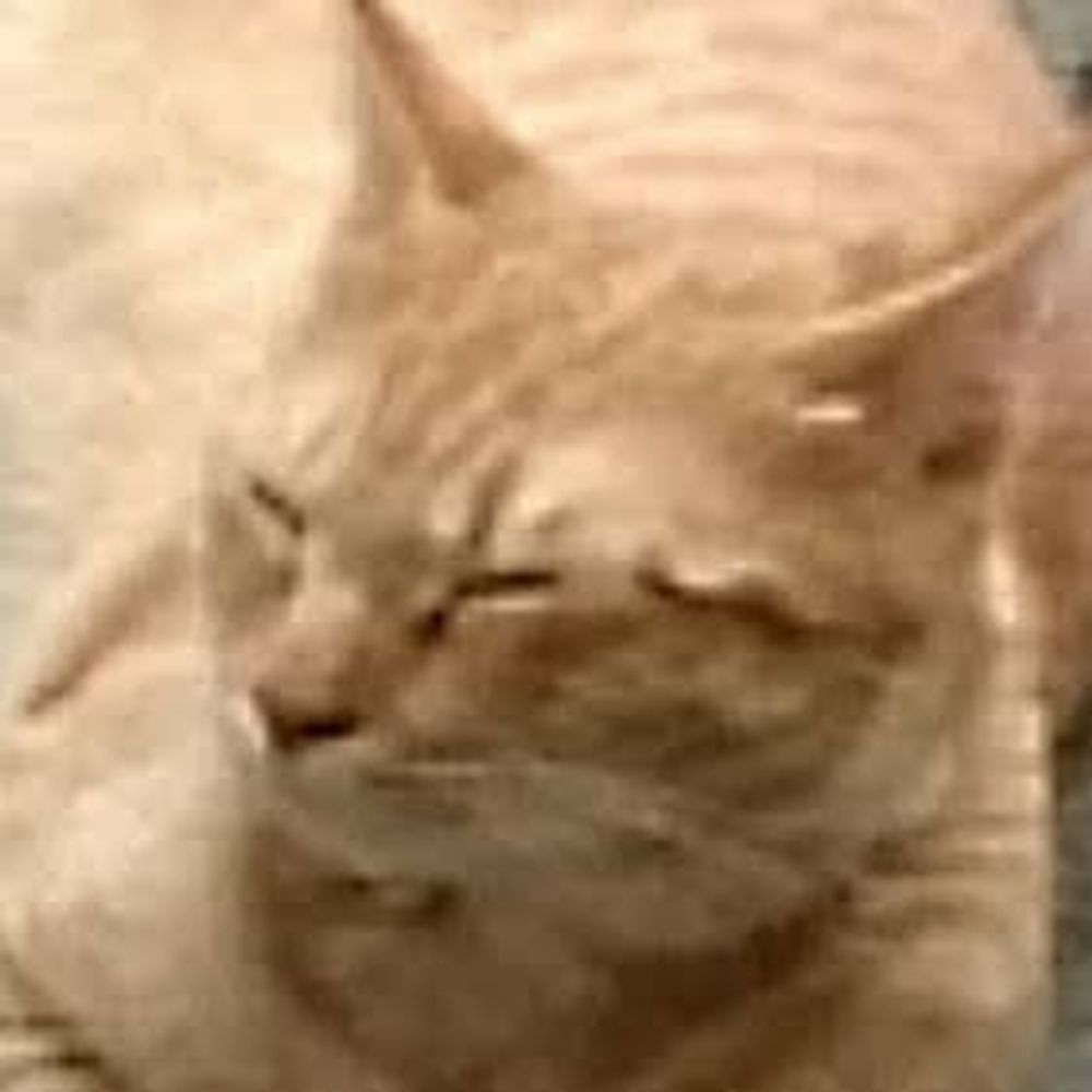 玉蛇