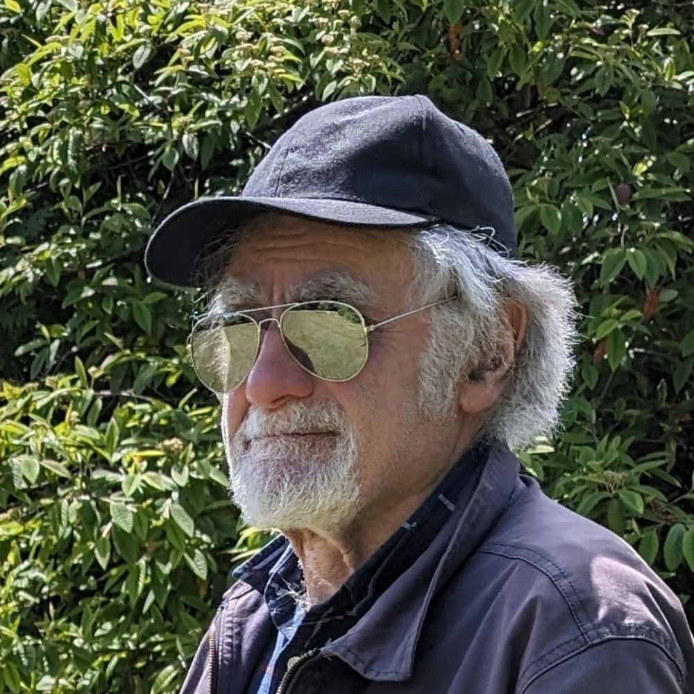 alexseymour.bsky.social