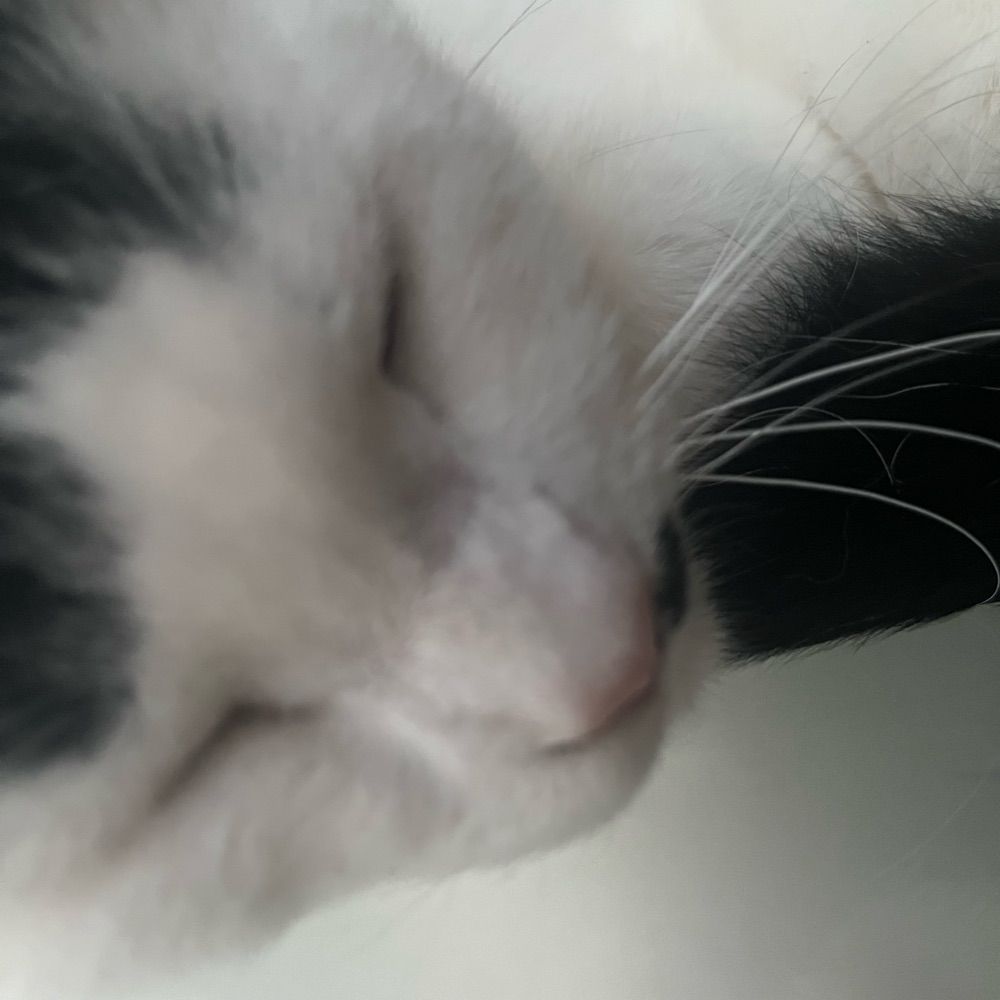 mano