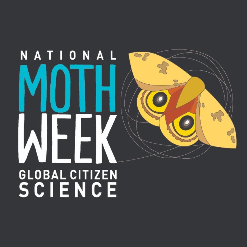 National Moth Week