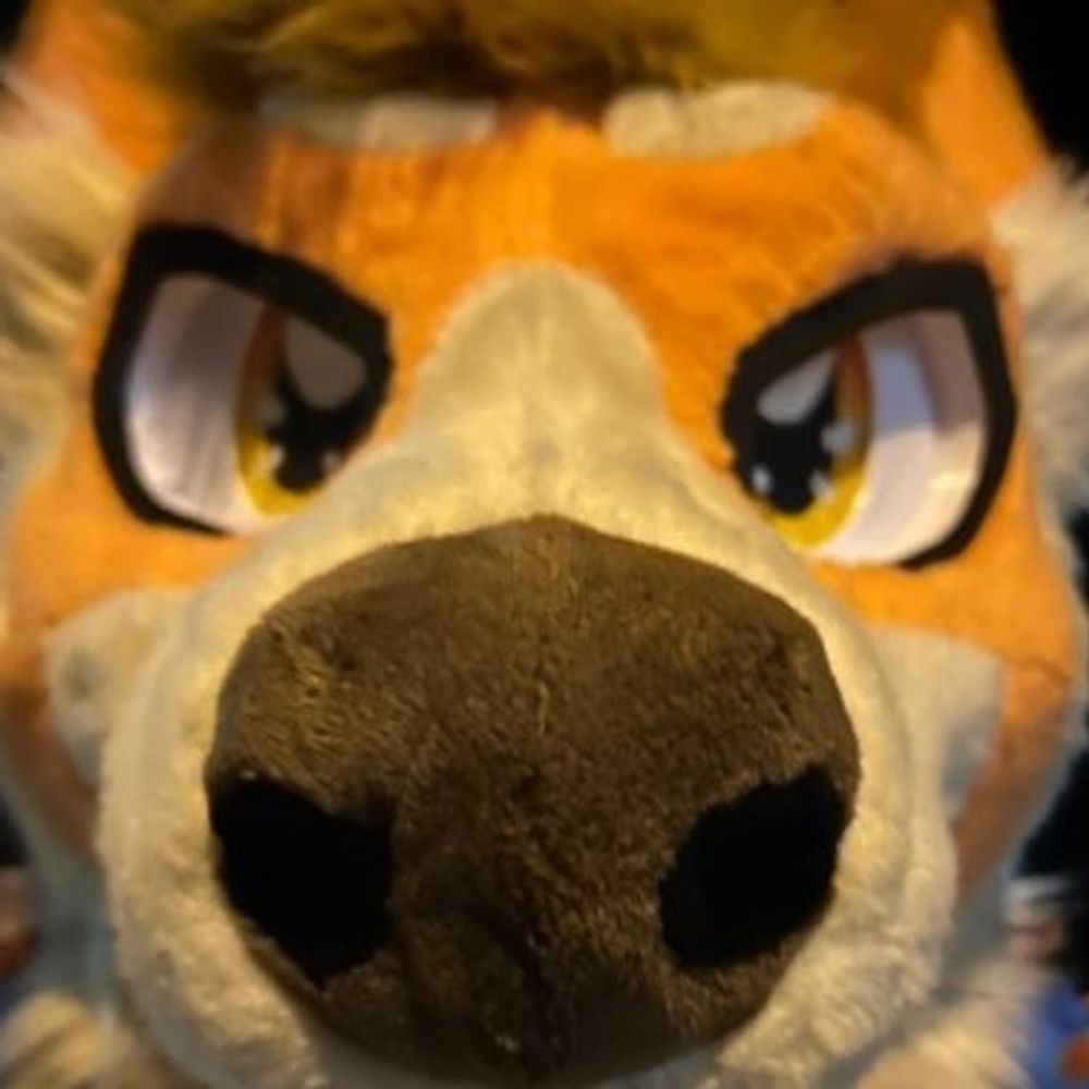 🌶️ Tangys Hideout 🐾 🔜 EF, NFC