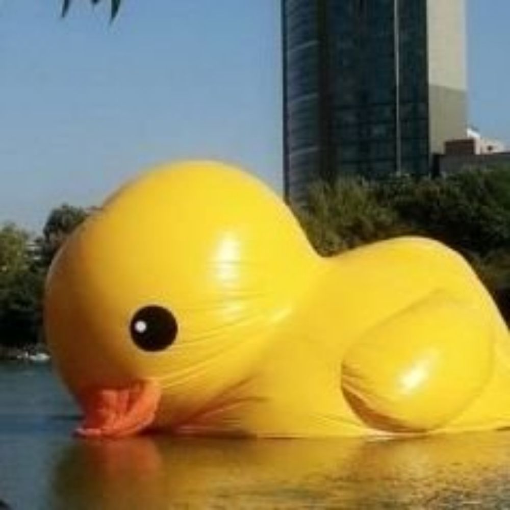 오리주물럭