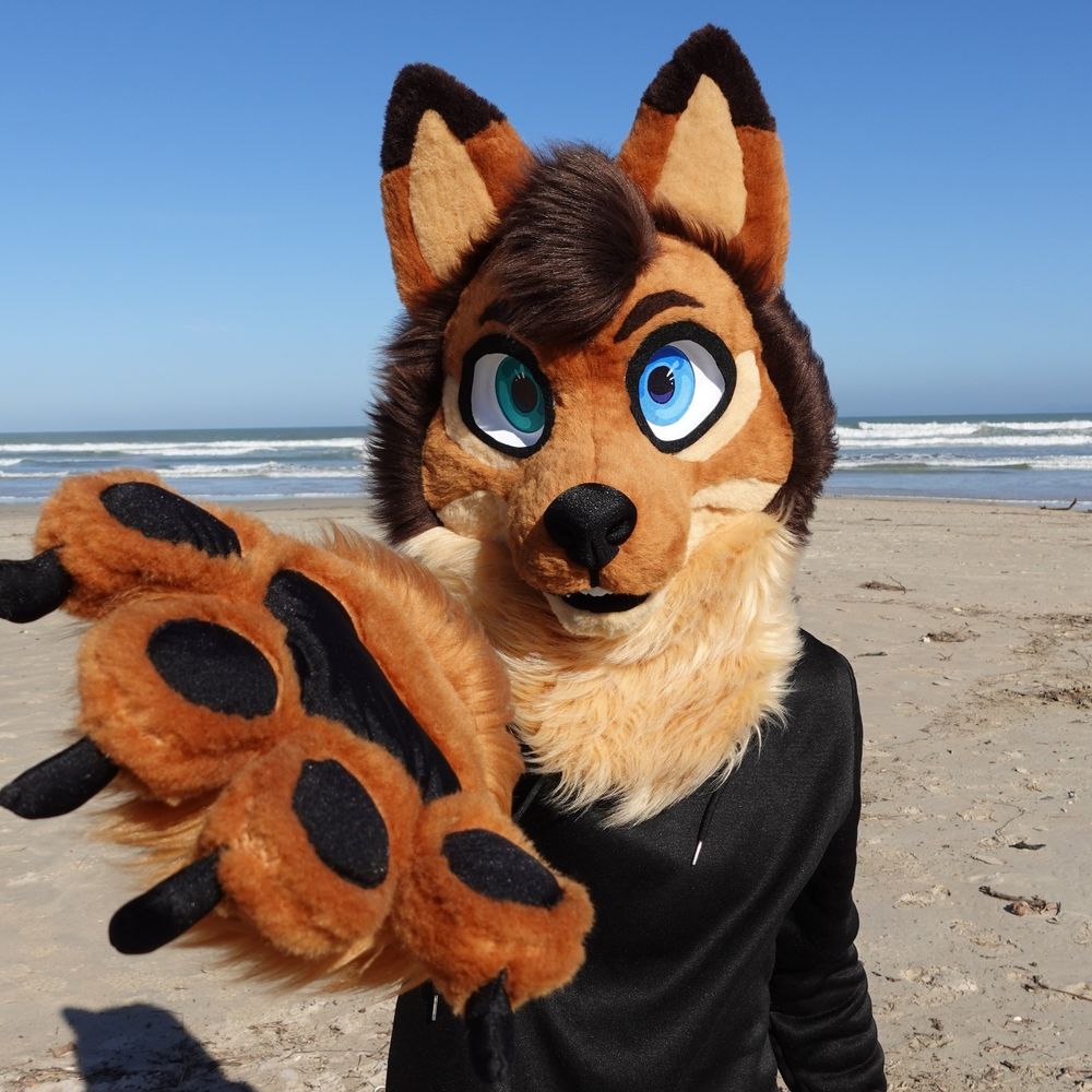 KodaWolf_IRL