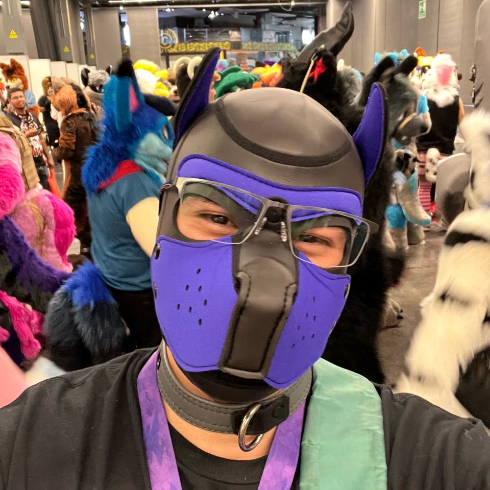 Blueberry Muffin 🧁 (CookieWolfie)