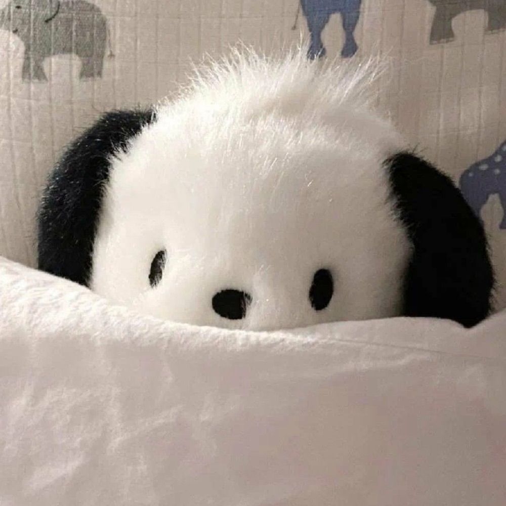 수수