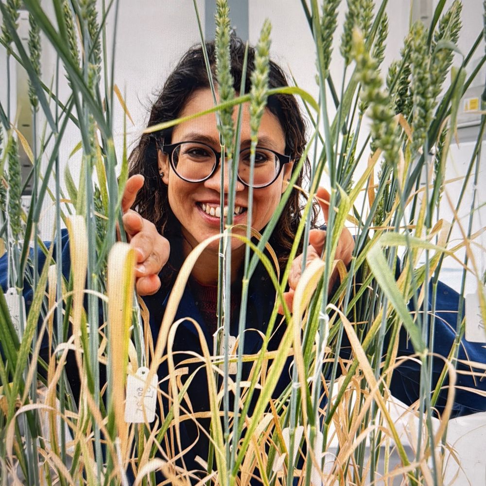Suruchi Roychoudhry