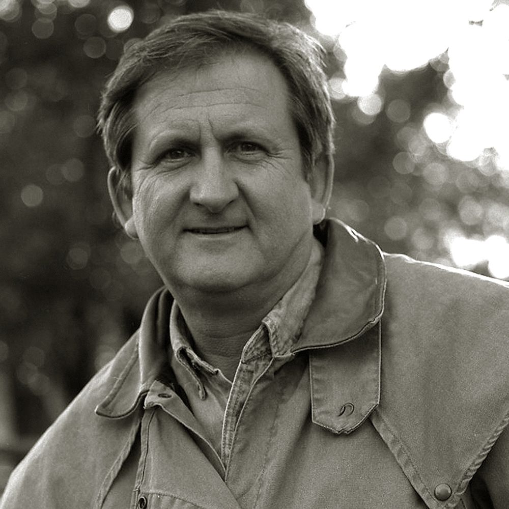 David M. Hillis
