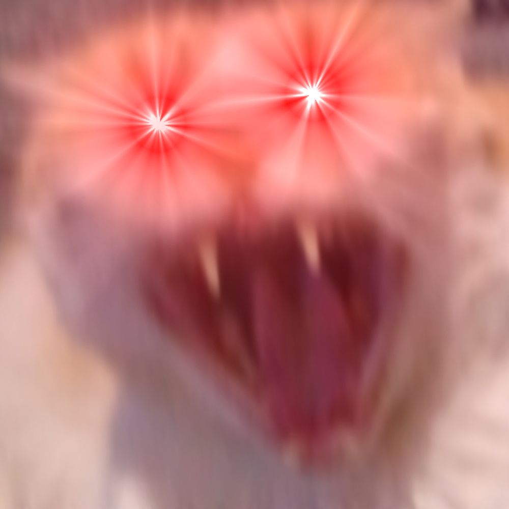 Werido Cato