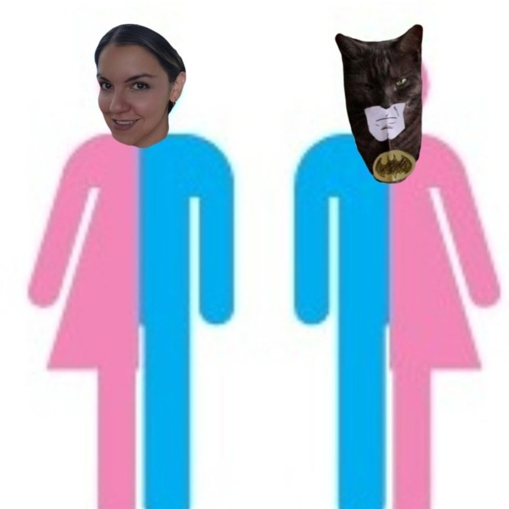 ivannavp