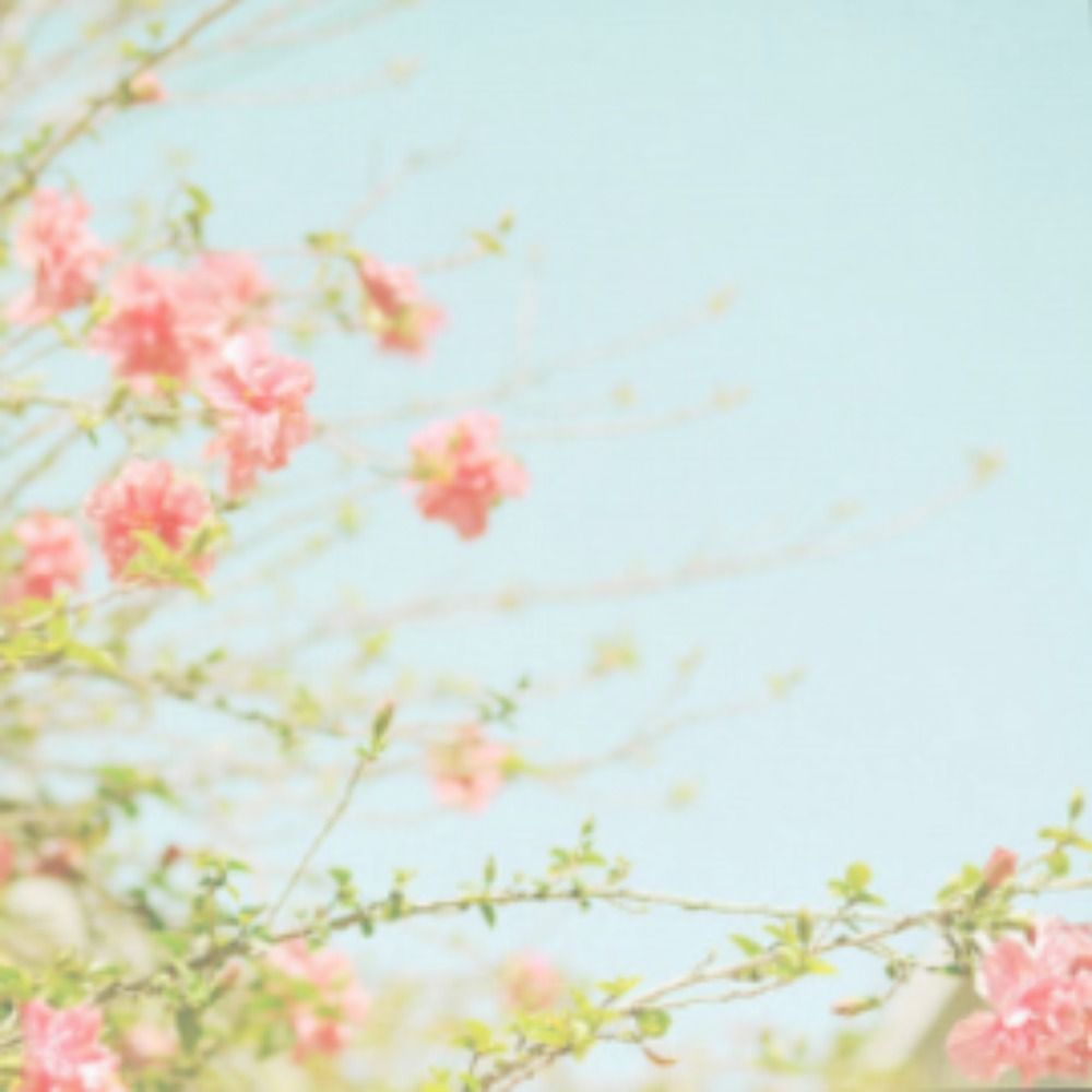 ria