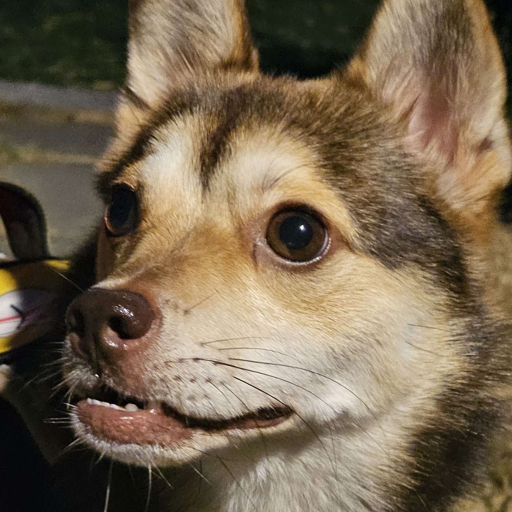 Aco