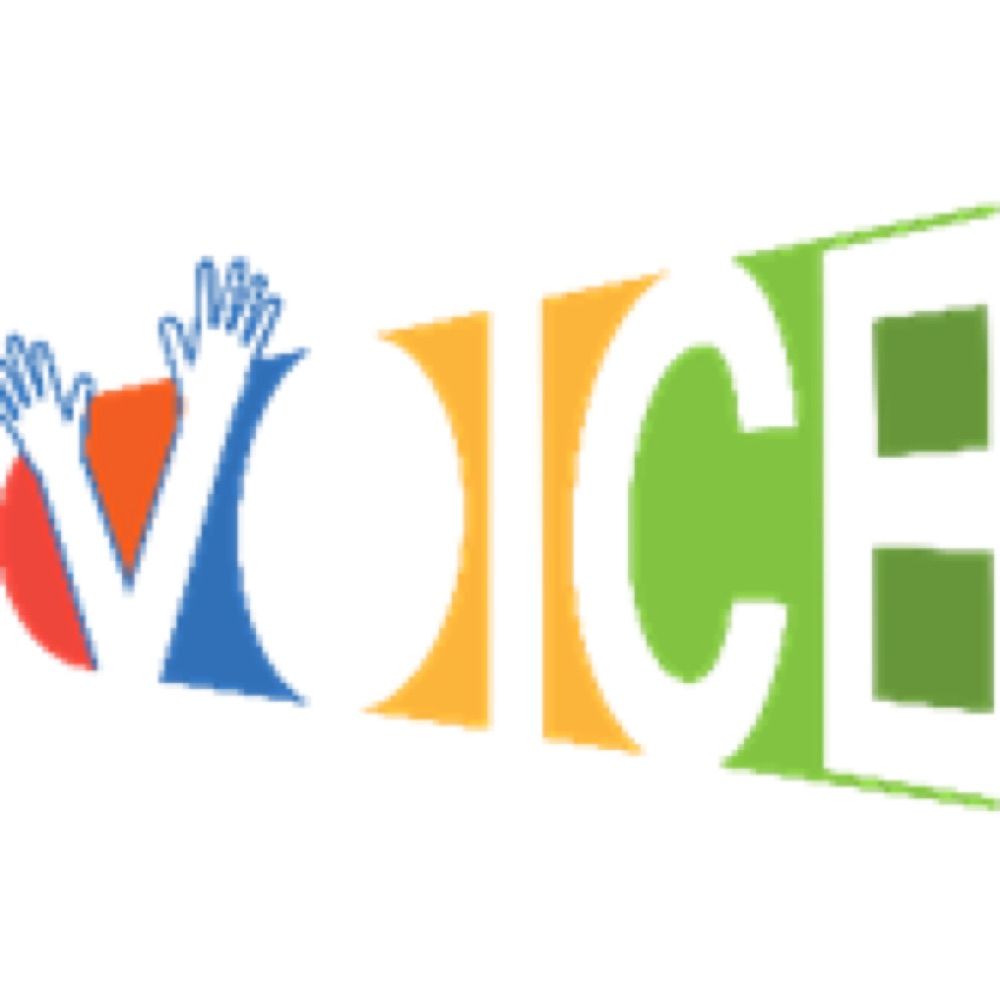 VOICE: The Childhood Ethics Project