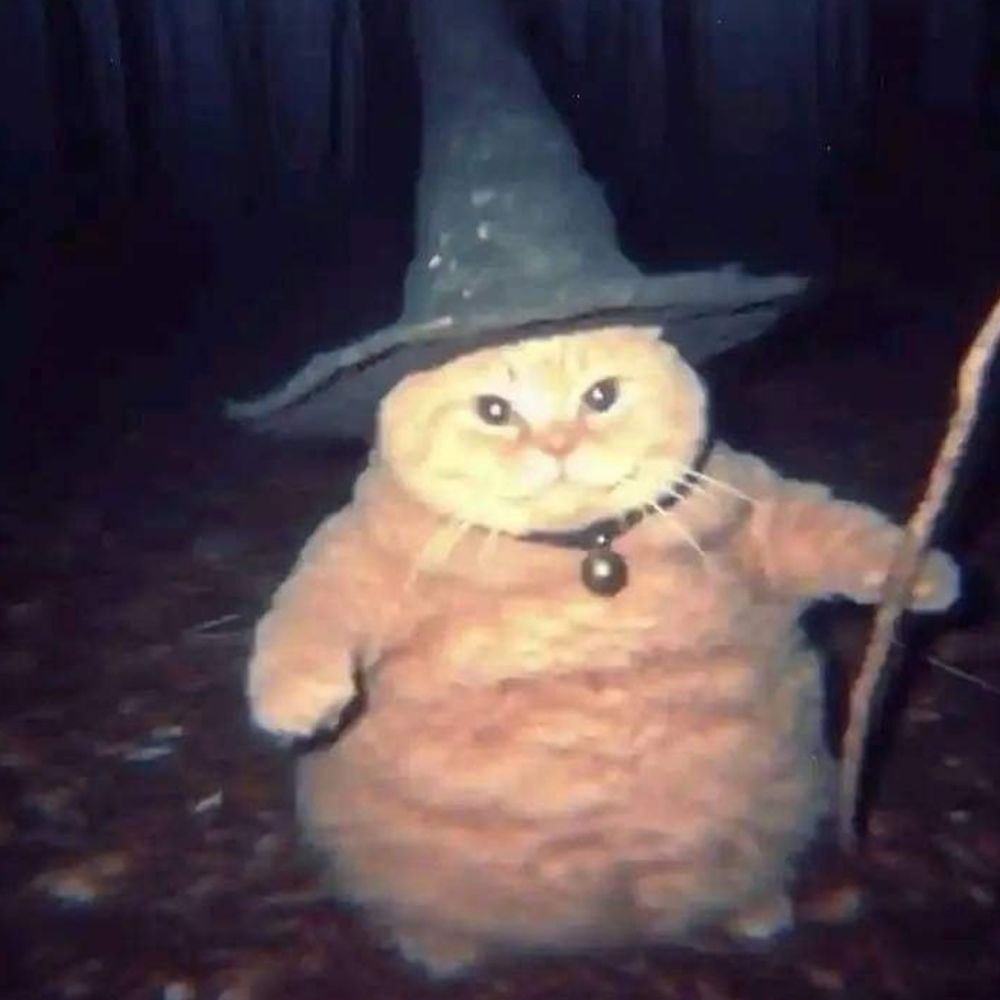 🎃🎃