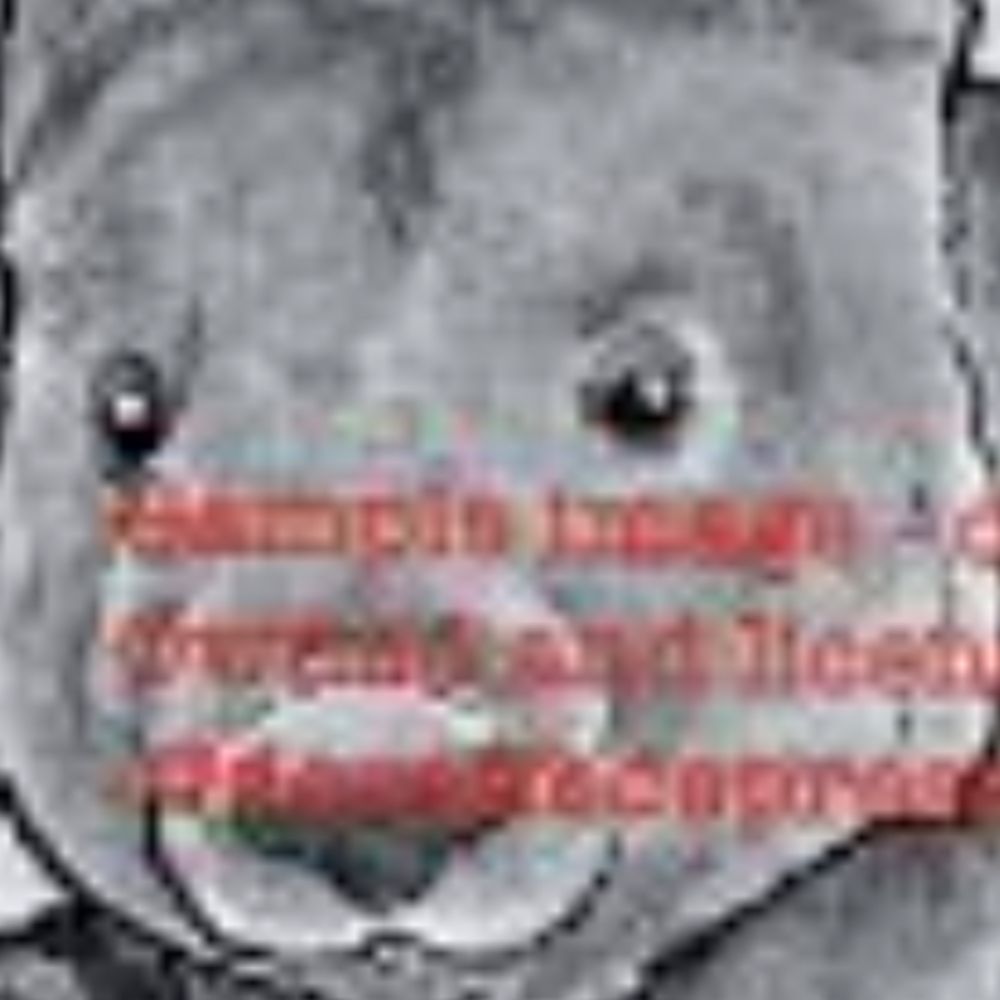 Wombat with a Gun