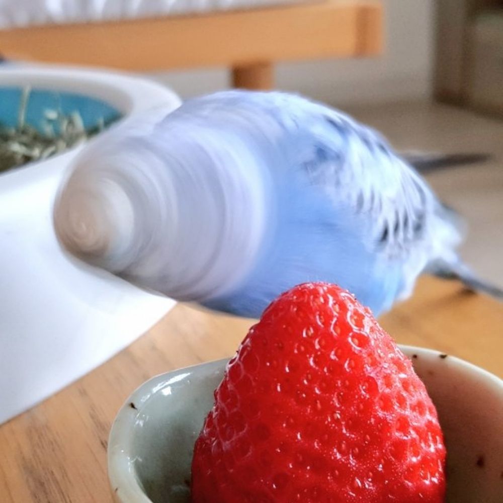 𝚂𝚎𝚘𝚗𝚐𝙹𝚒