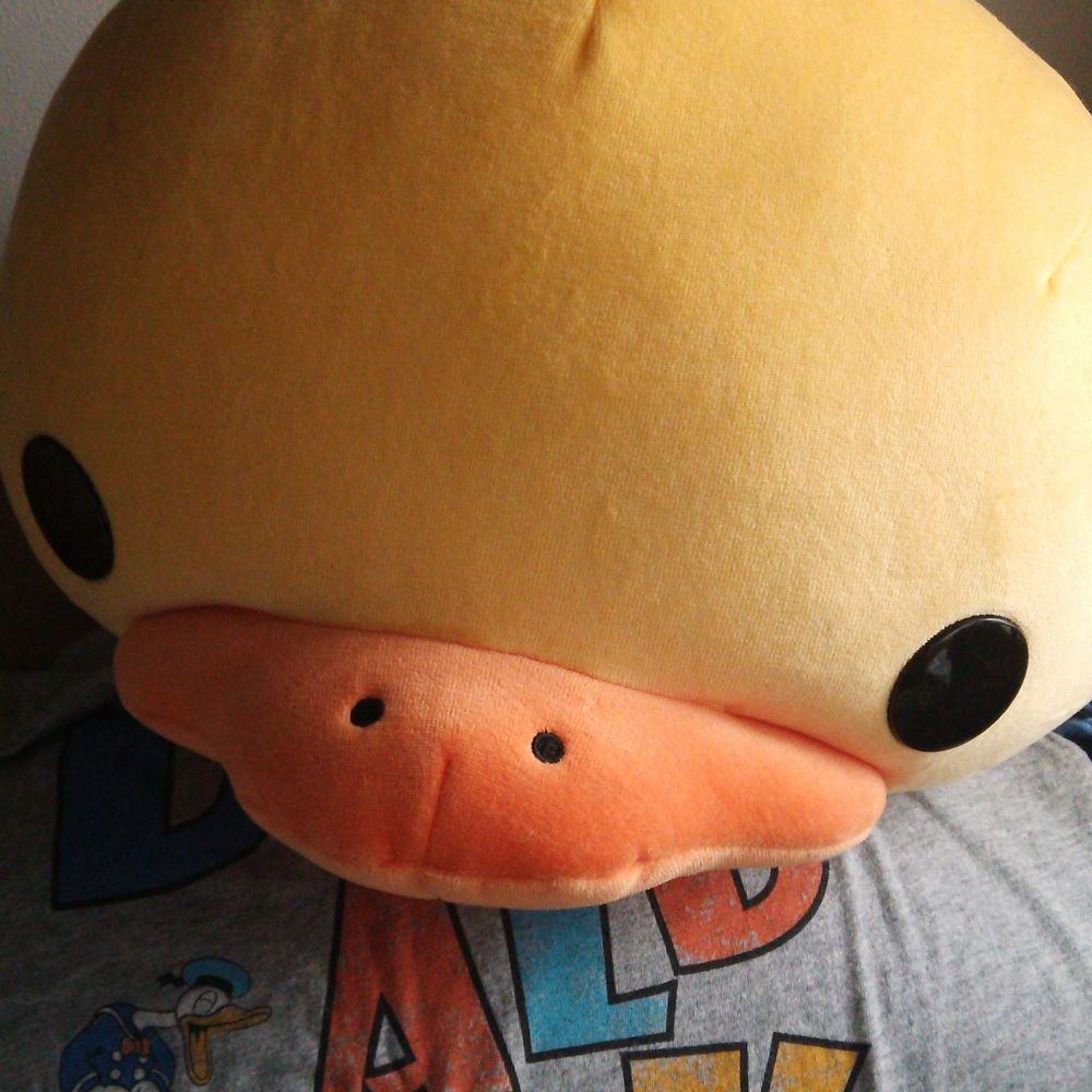 だっく