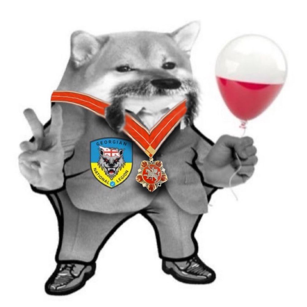 Solidarność Fella 🇺🇦🇮🇱🇵🇱🇬🇧🇬🇪🐺✡️