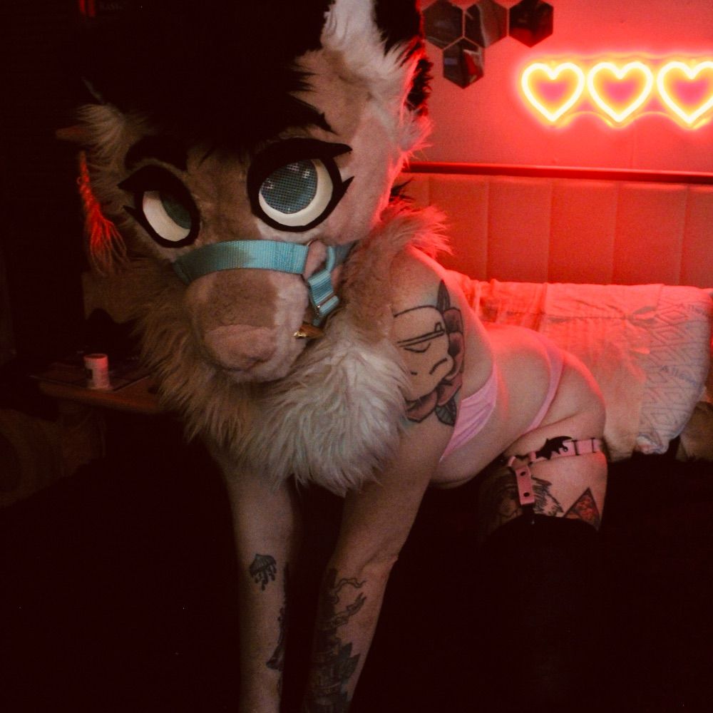 SteezyTheFoxx 🏳️‍⚧️FWA’25