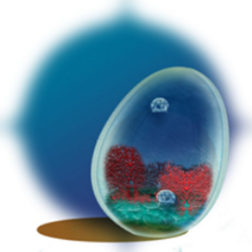 海月仁