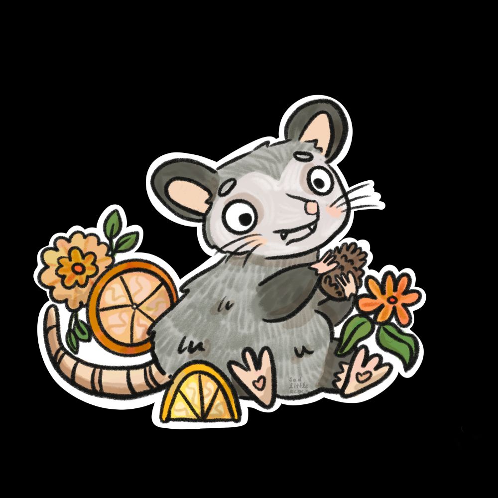 Potpourri-opossum